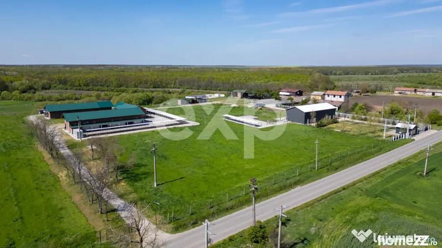 Black Angus Farm with authorized Slaughterhouse - 7