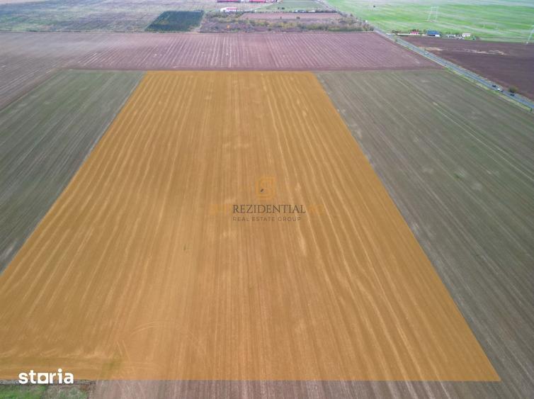 Teren de 84400 mp, în Gălbinași