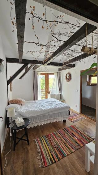 Casă cu 5 camere cu Teren 420 Mp în Paltin