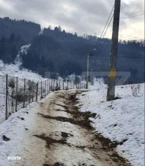Spațiu comercial, în Central