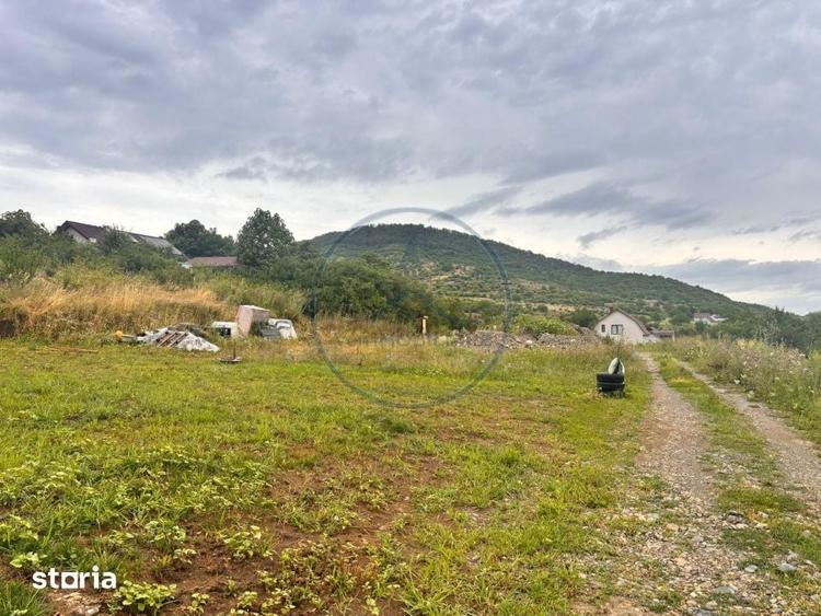Teren de 550 mp, în Viișoara
