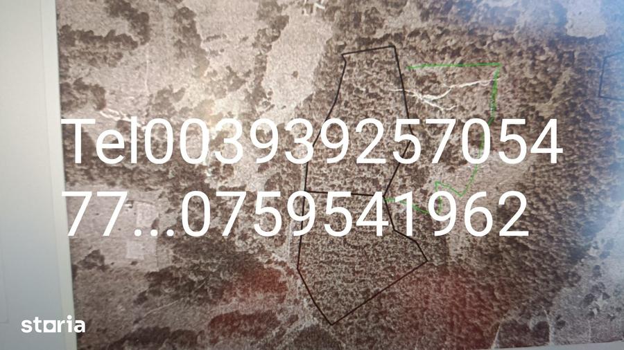 Teren de 20000 mp, în Ciuruleasa