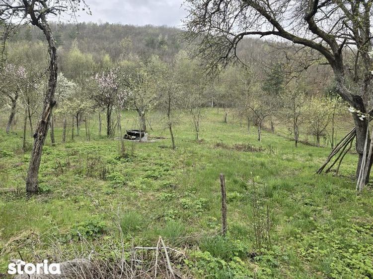 Casă cu 3 camere cu Teren 80 Mp în Lunca