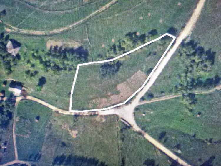 Teren de 2500 mp, în Sohodol