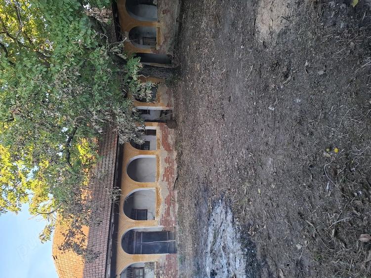 Casă cu Teren 5800 Mp în Sălbăgel