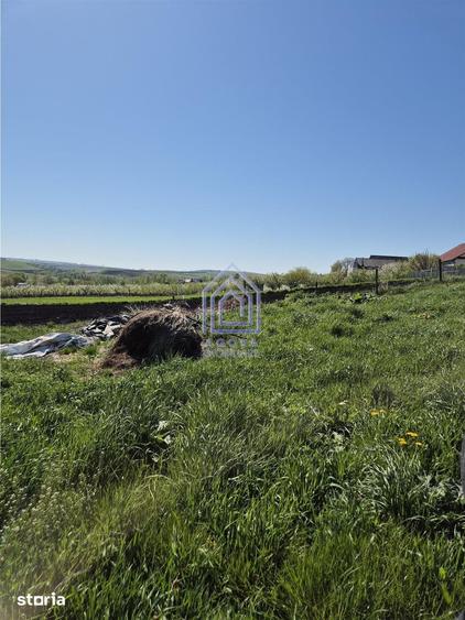 Teren de 1950 mp, în Moara