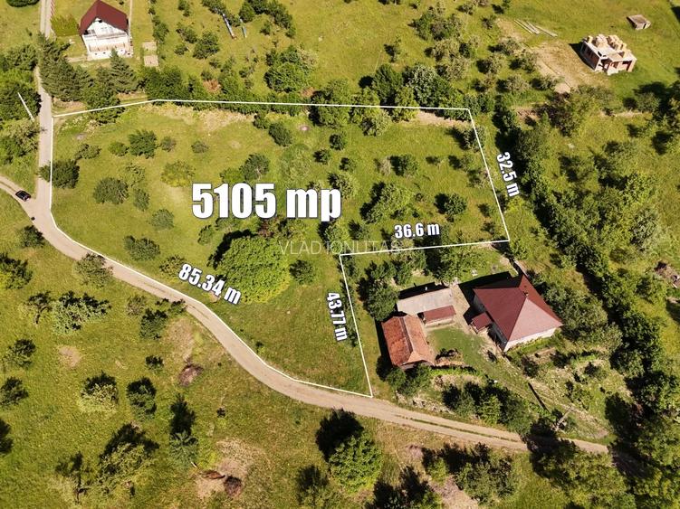 Teren intravilan 5.105 mp, Baia Sprie, la intrare pe Valea Chiuzbăii