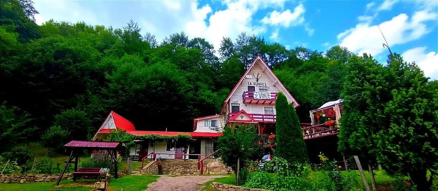 Casă individuală cu 5 camere cu Garaj în Siriu
