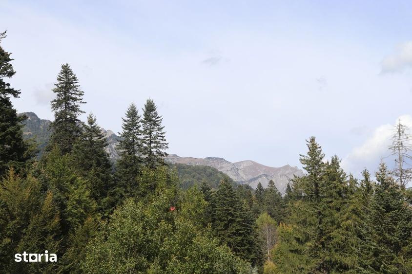 Teren de vanzare in Sinaia loca?ie centrala. - 9
