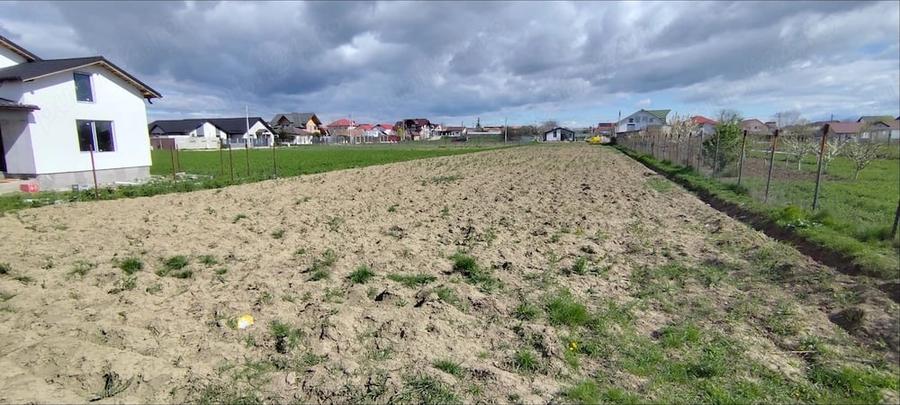 Teren de 2500 mp, în Căpățânești