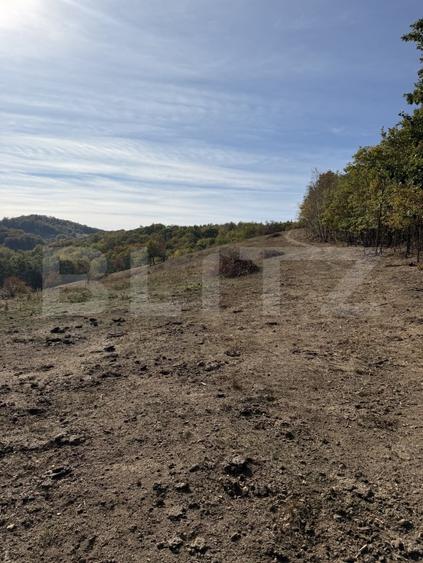 Teren agricol extravilan de 30055 mp, în Făgetu