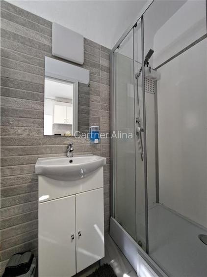 Studio curte proprie 150 mp la casa zona Centrala