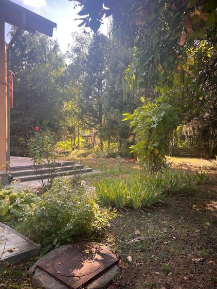 Casă individuală cu 5 camere cu Piscina în Corbeanca