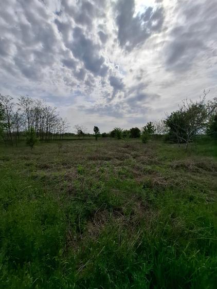 Teren Construcții intravilan de 3500 mp, în Periș