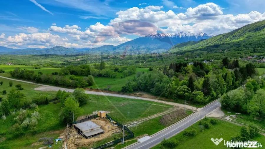 Teren în Tohănița