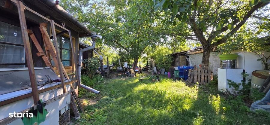 Casă cu 3 camere cu Teren 1500 Mp în Sălard