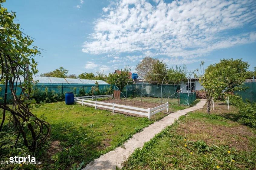 Inchiriere casa mica, cu suflet, la curte, Branesti-Islaz - 10