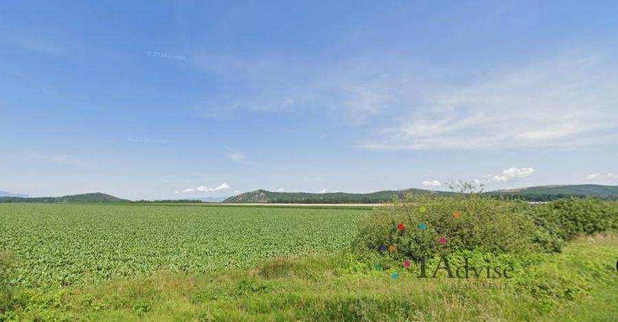 Teren agricol extravilan de 43820 mp, în Hărman