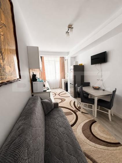 Apartament cu 2 camere decomandat, mobilat în Burdujeni
