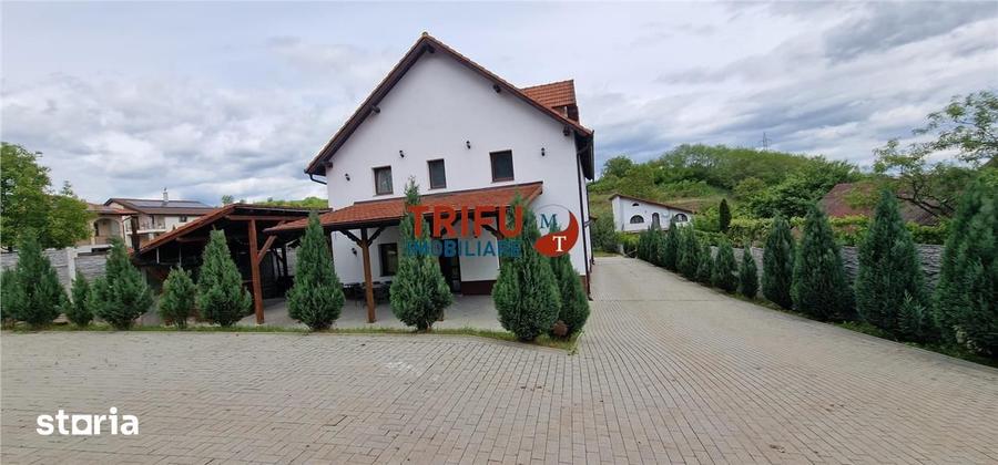Spațiu comercial, de 390 mp, în Cetate
