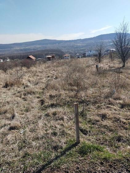 Teren intravilan de vanzare Salicea, jud. Cluj - 6