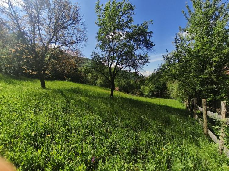 Teren Cabana Ocolis Alba langa rau de munte, 4000 mp, SUPER OFERTA - 6