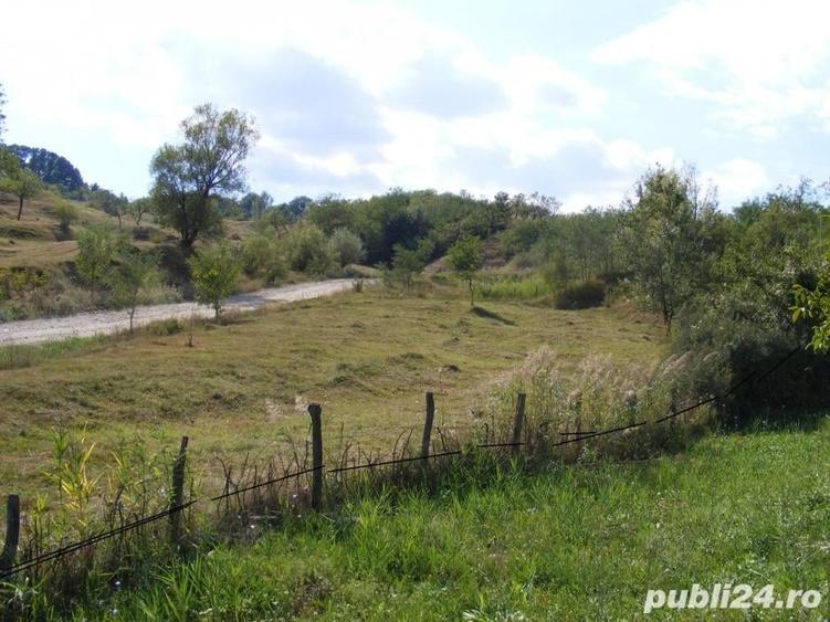 Teren de 2070 mp, în Vârfuri