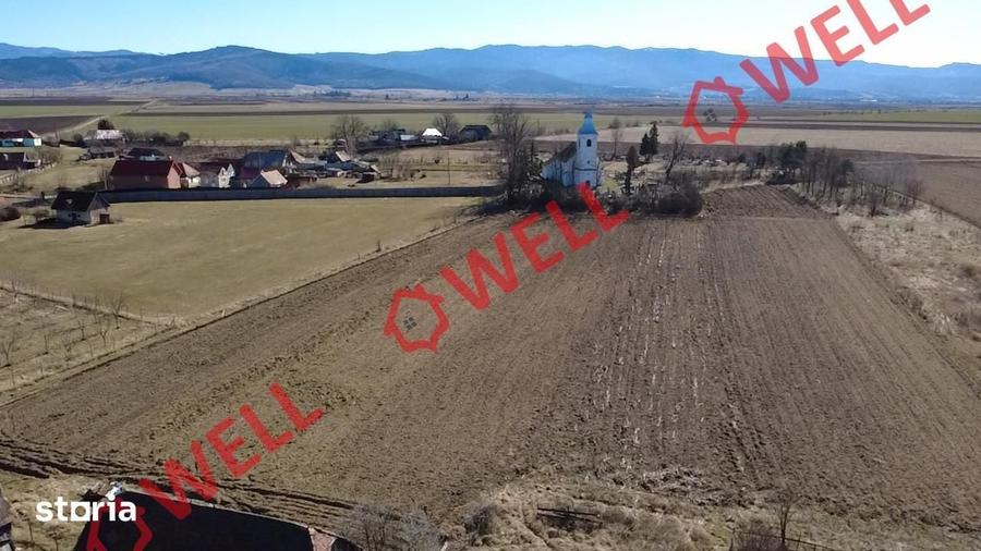 Casa de vanzare in Peteni! - 11