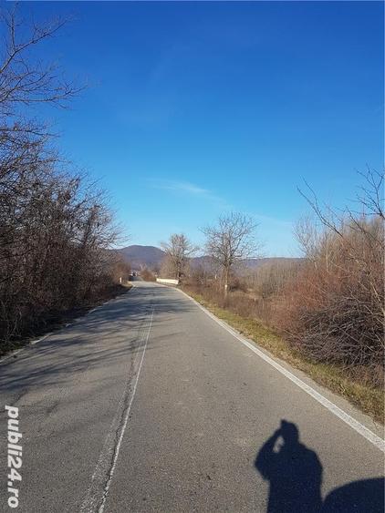 Teren de 40000 mp, în Balotești