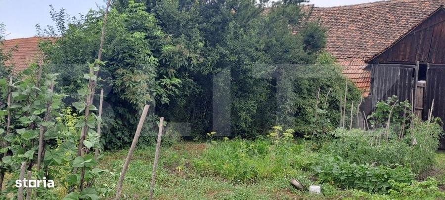Casă cu 2 camere în Vest