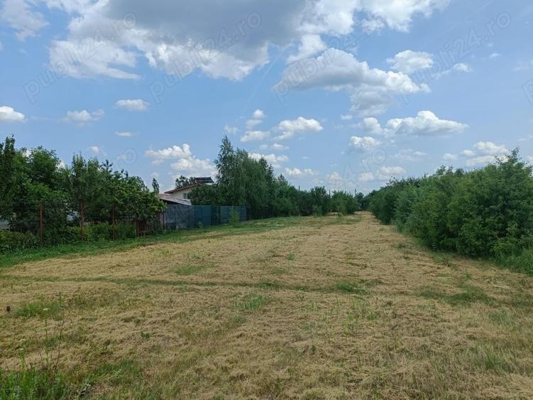 Teren de 3092 mp, în Bolintin-Deal