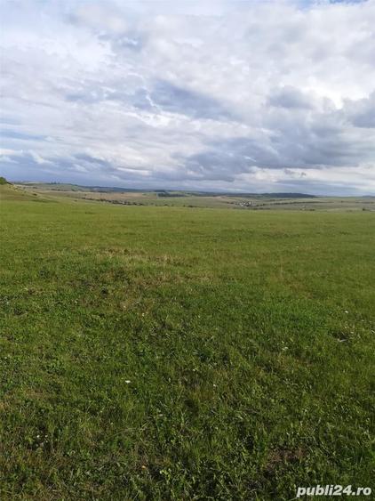 Teren de 42000 mp, în Central