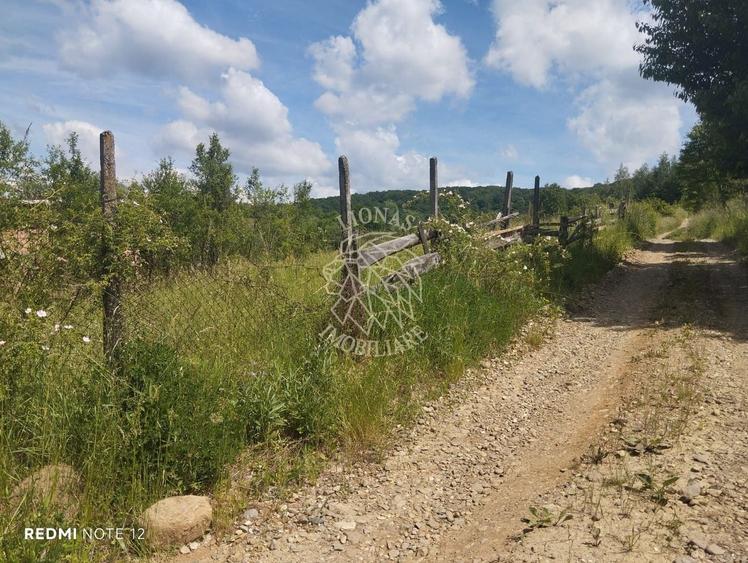 Teren Construcții extravilan de 40000 mp, în Unirea