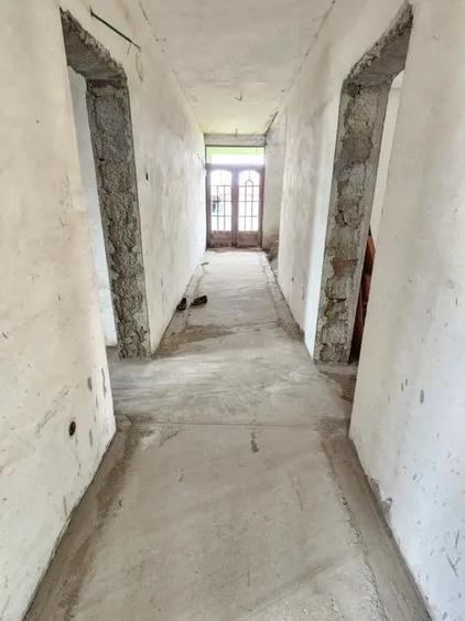 Casă cu Teren 5500 Mp în Peciu Nou