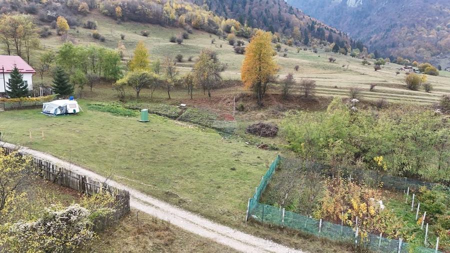 Teren Construcții intravilan de 618 mp, în Tohănița