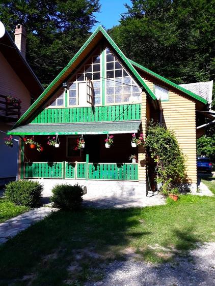 Hotel/Pensiune, de 450 mp, în Lepșa