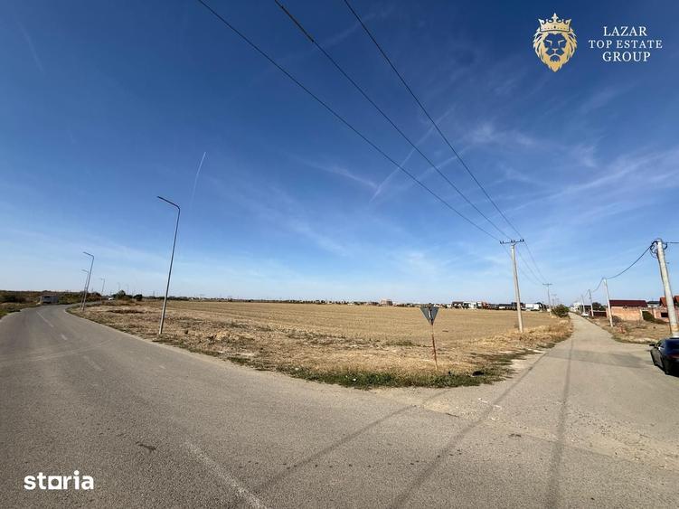 Teren de 7800 mp, în Vladimirescu
