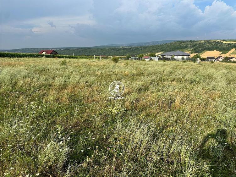 Teren de 633 mp, în Ciurea