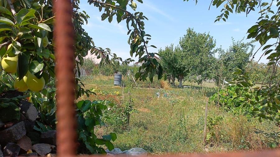 Casă cu 4 camere în Exterior Vest