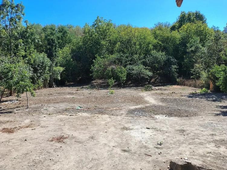 Casă cu 4 camere cu Teren 1700 Mp în Chisindia
