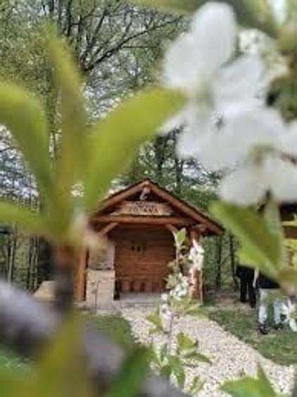 Vilă/Pensiune cu panouri fotovoltaice , terasă și foișor,  Investitie! - 21
