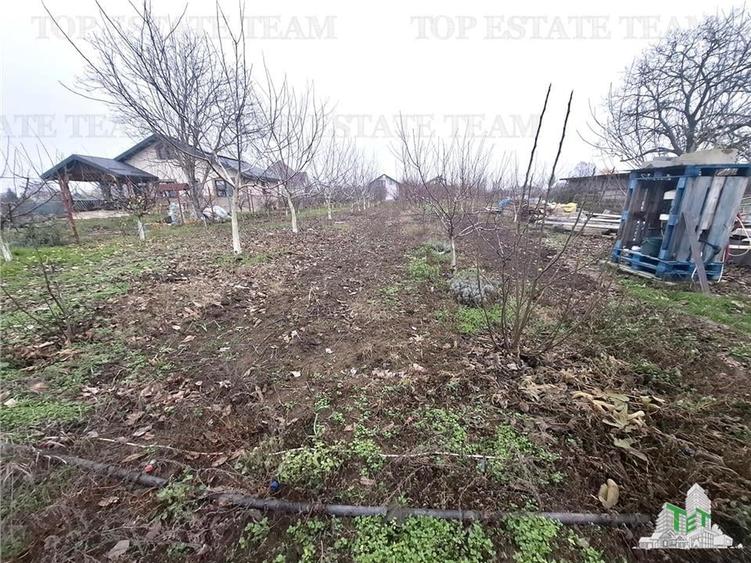 Teren Construcții intravilan de 963 mp, în Moara Vlăsiei