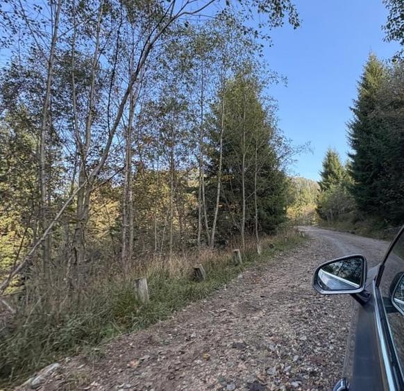 Teren Construcții intravilan de 10000 mp, în Săcele