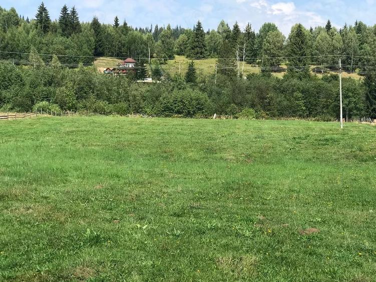 Teren de 10000 mp, în Șaru Dornei
