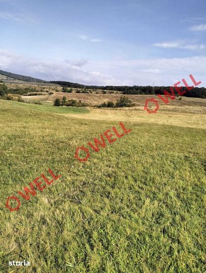 Teren de 11900 mp, în Central