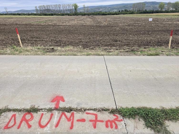 Teren de 500 mp, în Dancu