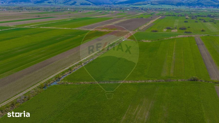 Teren de 4000 mp, în Prejmer
