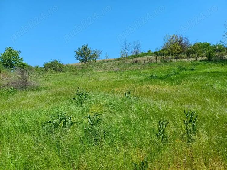 Teren de 1900 mp, în Cuza Vodă (Popricani)