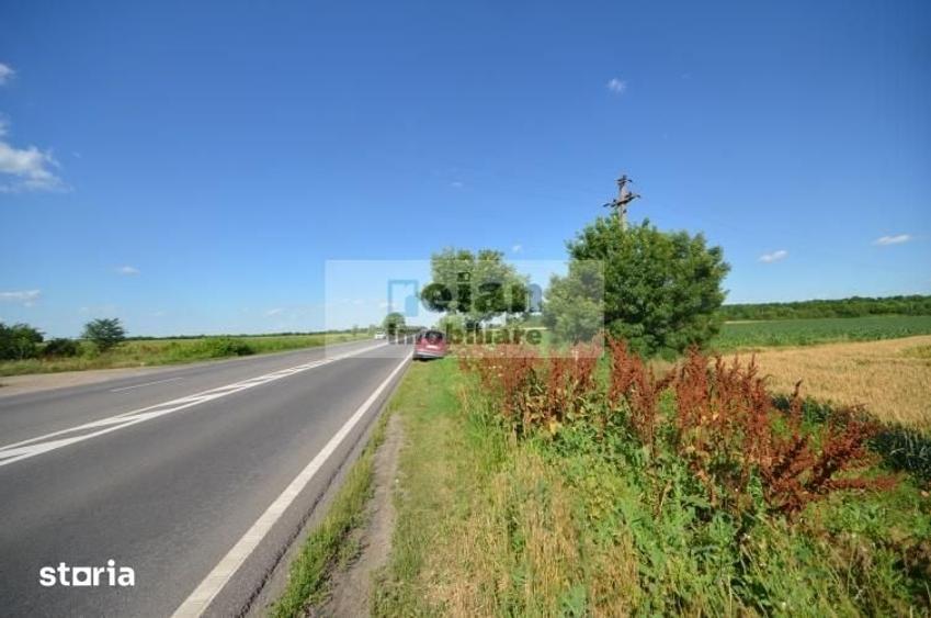 Teren de 28500 mp, în Movilița