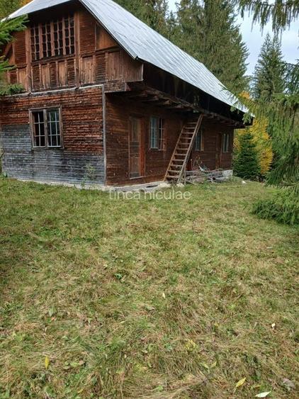 Terenuri de vanzare Dambovicioara
